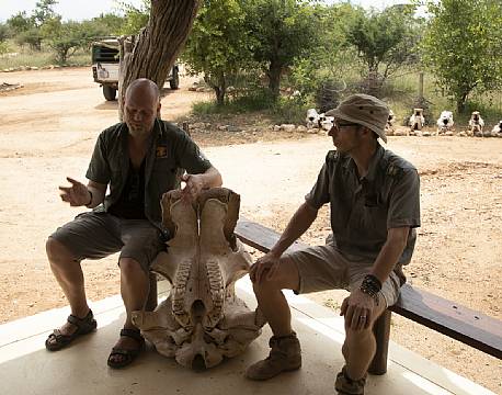 sydafrika safariguide africa tours