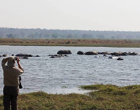 Flodhestene tages i nærmere betragtning