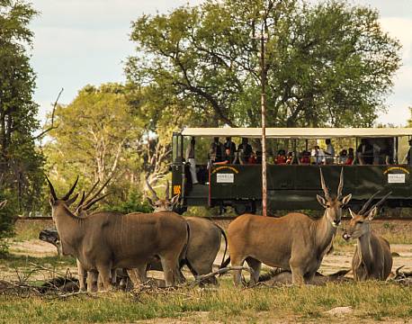 seværdighed Elephant Express zimbabwe africa tours