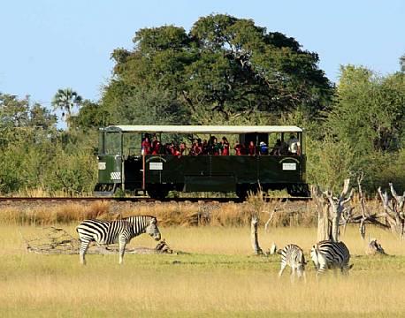 seværdighed Elephant Express zimbabwe africa tours