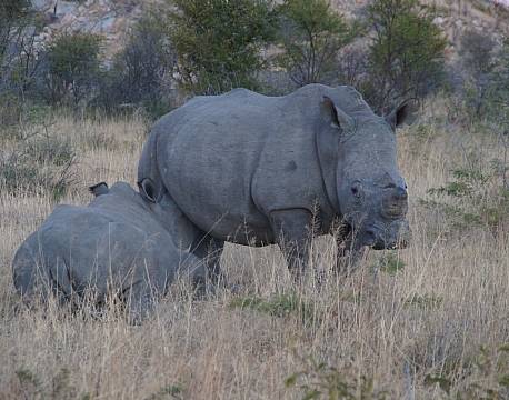 Matobos National Park Zimbabwe africa tours 
