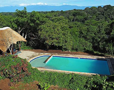 Turaco Treetops Uganda 5 africa tours