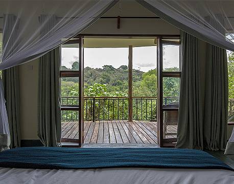 Turaco Treetops Uganda 9 africa tours