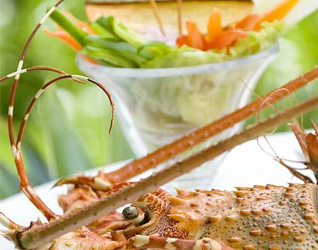 Breezes Resort & Spa, Zanzibar, Det Indiske Ocean 14 africa tours