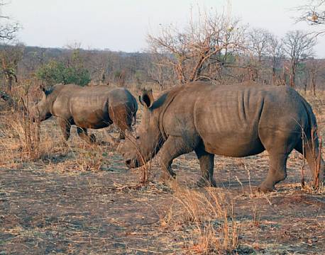 Mosi-oa-Tunya N.P Zambia africa tours