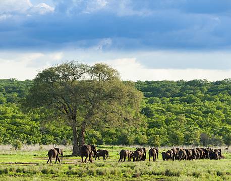 Mosi-oa-Tunya N.P Zambia africa tours