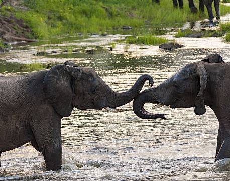 Mosi-oa-Tunya N.P Zambia africa tours