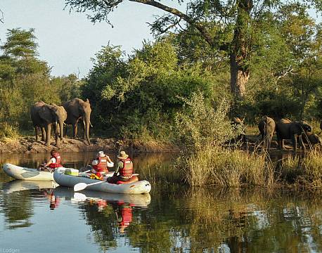 Mosi-oa-Tunya N.P Zambia africa tours