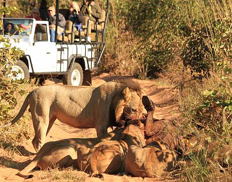 Mosi-oa-Tunya N.P Zambia africa tours