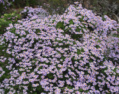 De Hoop Nature Reserve sydafrika africa tours