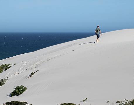 De Hoop Nature Reserve sydafrika africa tours