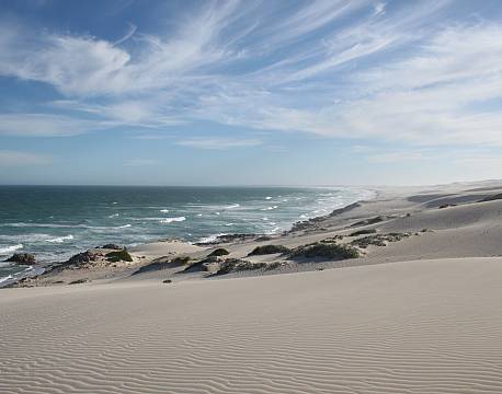 De Hoop Nature Reserve sydafrika africa tours