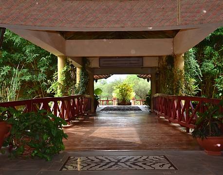 Kilima Safari Camp kenya africa tours