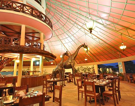 Kilima Safari Camp kenya africa tours