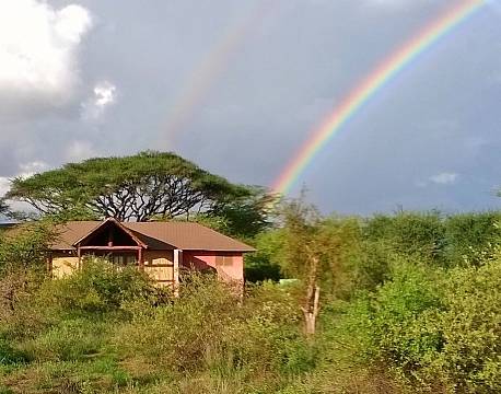 Kilima Safari Camp kenya africa tours