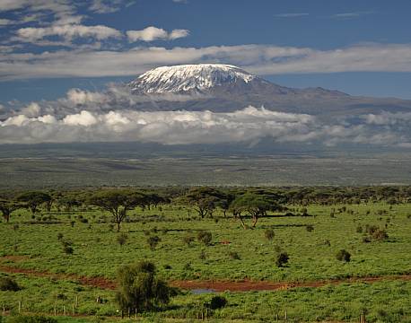 Kilima Safari Camp kenya africa tours