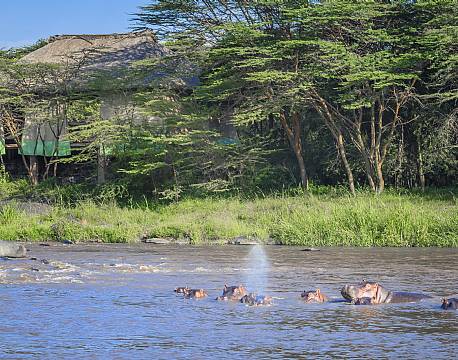Karen Blixen Camp, Masai Mara, Kenya 14 africa tours