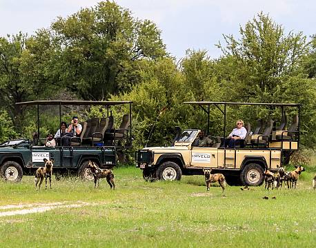 Imvelo Bomani Tented lodge zimbabwe 20 africa tours