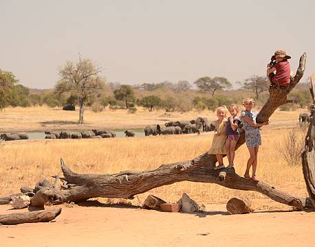 Imvelo Bomani Tented lodge zimbabwe 8 africa tours