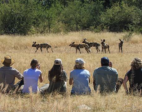  Imvelo Camelthorn Lodge zimbabwe 13 africa tours