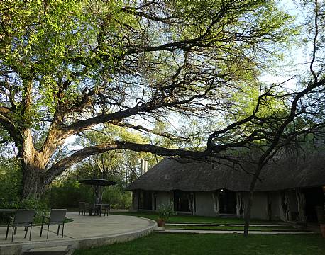  Imvelo Camelthorn Lodge zimbabwe 1 africa tours