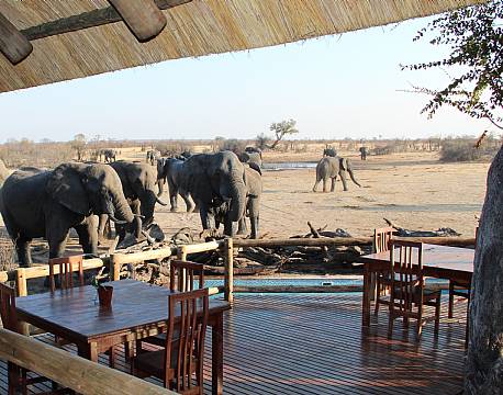 Imvelo Nehimba Lodge zimbabwe 12 africa tours