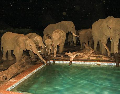 Imvelo Nehimba Lodge zimbabwe 10 africa tours