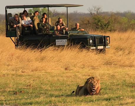 Imvelo Nehimba Lodge zimbabwe 15 africa tours