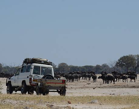 Imvelo Jozibanini Camp zimbabwe 11 africa tours