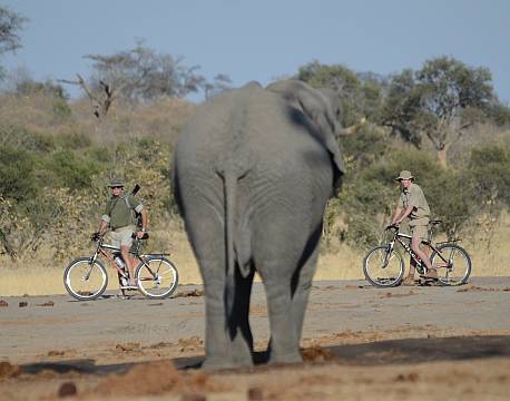 Imvelo Jozibanini Camp zimbabwe 13 africa tours