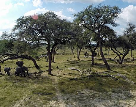 Imvelo Jozibanini Camp zimbabwe 15 africa tours