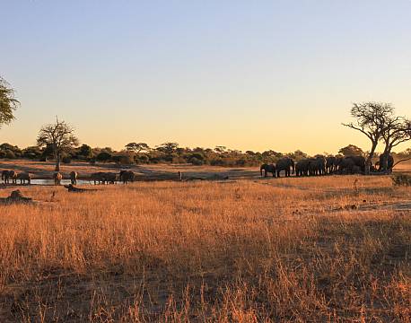 Imvelo Jozibanini Camp zimbabwe 16 africa tours