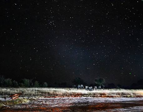 Imvelo Jozibanini Camp zimbabwe 17 africa tours