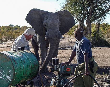 Imvelo Jozibanini Camp zimbabwe 7 africa tours