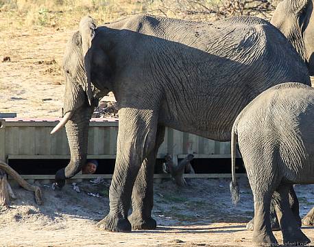 Imvelo Jozibanini Camp zimbabwe 8 africa tours