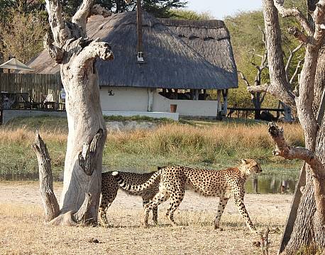 Imvelo Bomani Tented lodge zimbabwe 20 africa tours