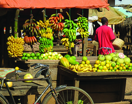 Zanzibar Tanzania indiske ocean africa tours