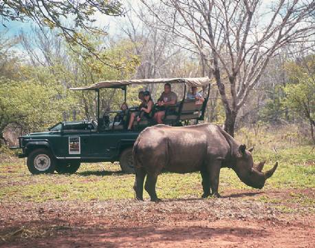 Gæster oplever et næsehorn helt tæt på i Hwange, Zimbabwe africa tours