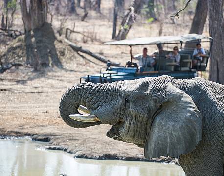 MvuuCamp, Liwonde N.P malawi 5 africa tours