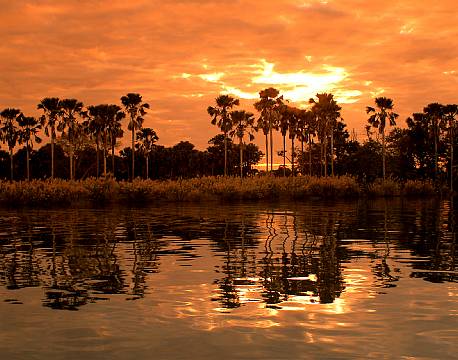 MvuuCamp, Liwonde N.P malawi 11 africa tours