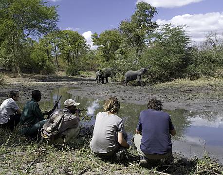 MvuuCamp, Liwonde N.P malawi 13 africa tours