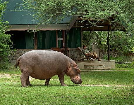 MvuuCamp, Liwonde N.P malawi 1 africa tours