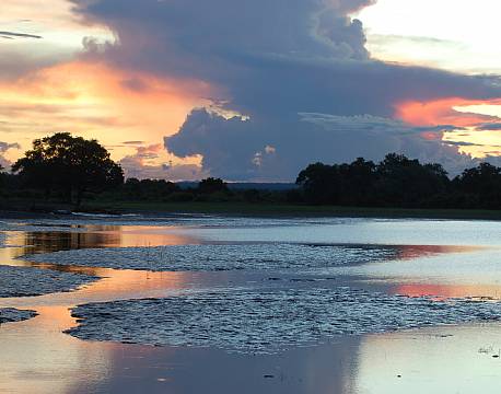 Zambia South Luangwa N.P zambia africa tours