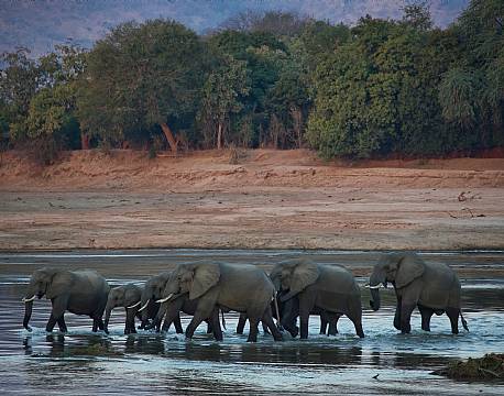 Zambia South Luangwa N.P zambia africa tours