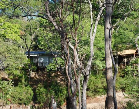 Dzalanyama Forest Lodge malawi 4 africa tours