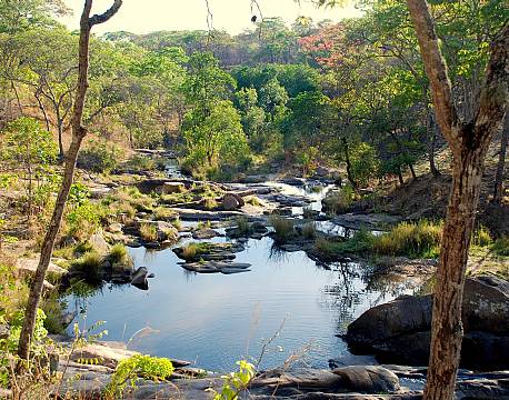 Dzalanyama Forest Lodge malawi 5 africa tours