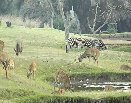 Game Haven Lodge malawi 10 africa tours