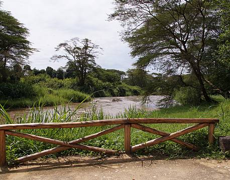 Ishasha Wilderness Camp uganda 8 africa tours