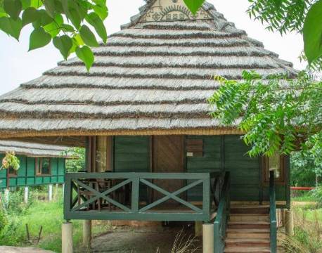 Tendu Leaf Jungle Resort, Panna indien 3 africa tours