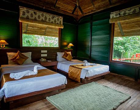 Tendu Leaf Jungle Resort, Panna indien 1 africa tours